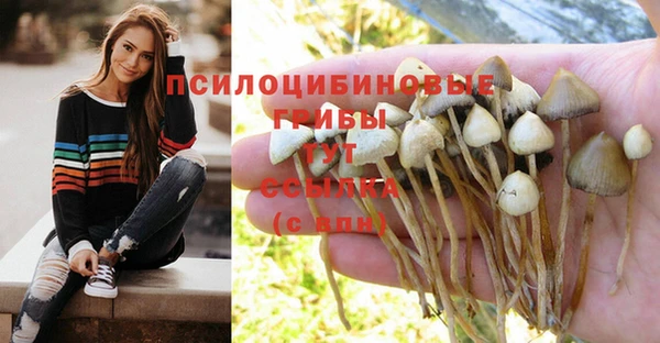 гидропоника Красноперекопск
