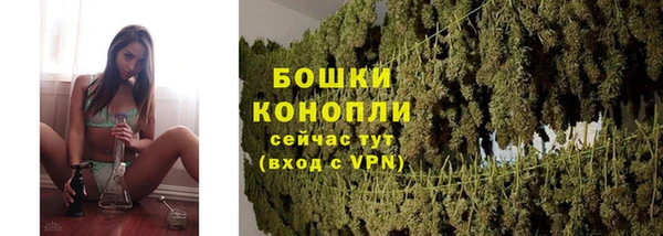 альфа пвп Краснослободск