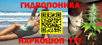 мдпв Кандалакша