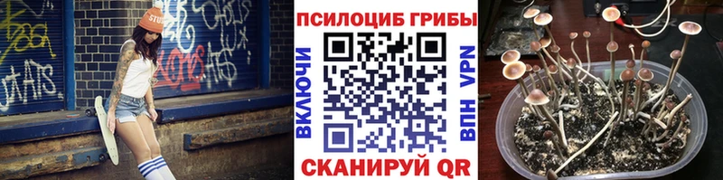 Псилоцибиновые грибы GOLDEN TEACHER  Краснознаменск 